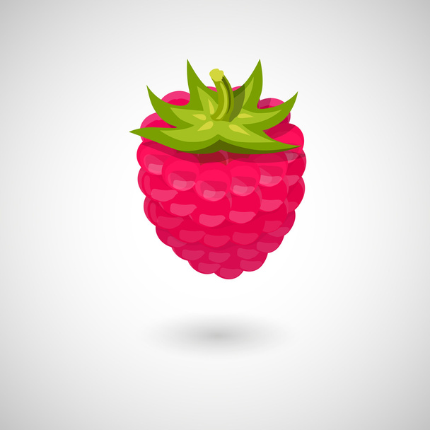 A raspberry icon - Vector, Imagen