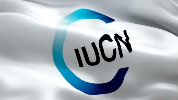 IUCN-Logo. Nationales 3d International Union for Conservation of Nature Logo weht. Zeichen einer nahtlosen IUCN-Animation. Internationale Union für Naturschutz Flagge HD Hintergrund - New York, 4. Juli 2021 - Filmmaterial, Video