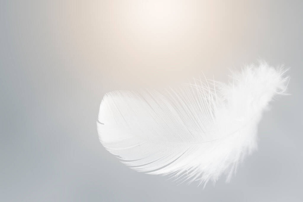 Egyedülálló fehér madártollak lebegnek az égen. Hattyútoll száll az égen. - Fotó, kép