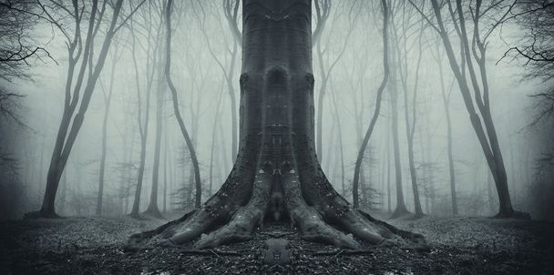 symetryczne ciemny drzewo w lesie na halloween - Zdjęcie, obraz