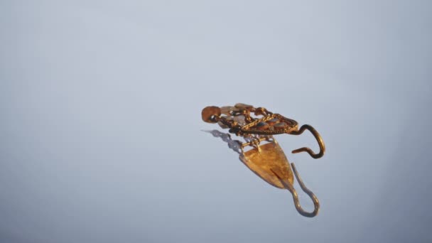 золотая серьга скифской жрицы 2000 лет, старая серьга, прялка, найденная во время раскопок. Винтажные украшения. Религия. макро - Кадры, видео