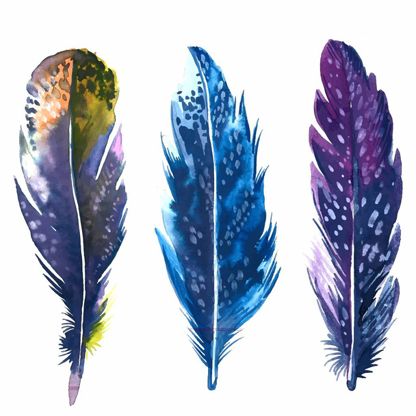 Hand drawn feathers watercolor set on white background - Вектор, зображення
