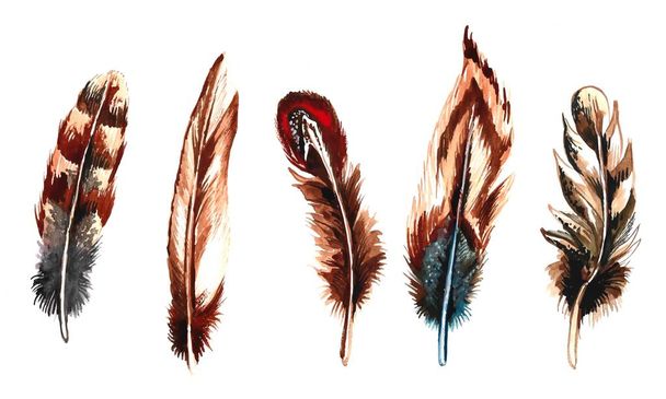 Met de hand getekende veren aquarel ingesteld op witte achtergrond - Vector, afbeelding