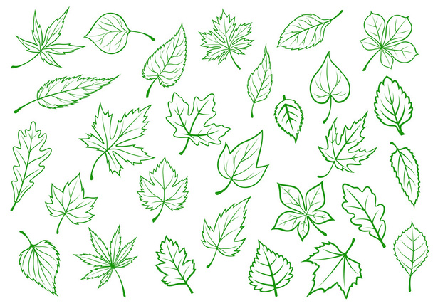 Green leaves set in outline style - Vector, Image