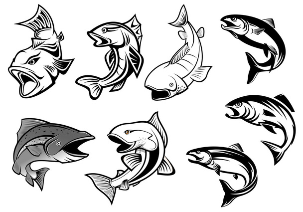 Conjunto de salmones de dibujos animados
  - Vector, imagen