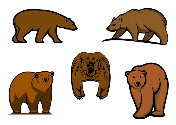 Caractères de l'ours sauvage brun
  - Vecteur, image