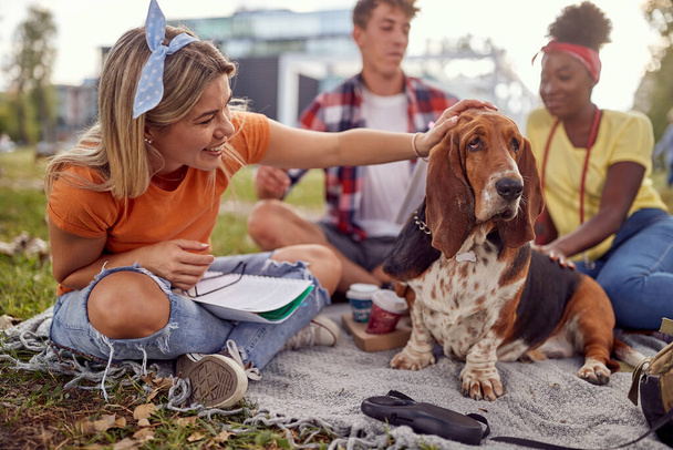 A cute dog enjoys cuddling by young girl sitting on the grass on a beautiful day in the park with her friends. Friendship, rest, pets, picnic - Φωτογραφία, εικόνα