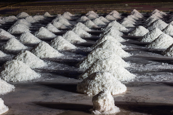 Zeezout op salt marsh's nachts - Foto, afbeelding
