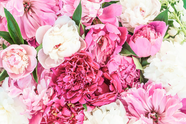Fundo floral de peônias roxas e rosa de perto - Foto, Imagem
