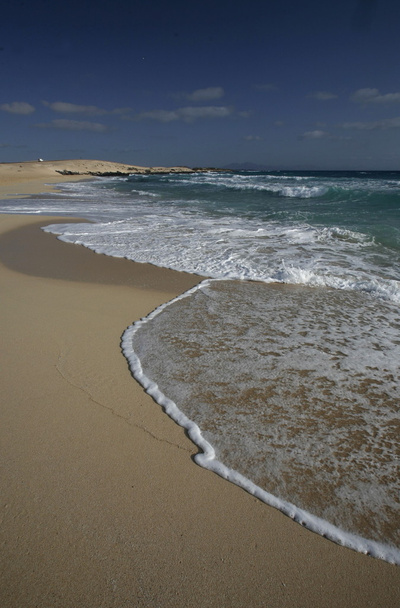 Evropa Kanárské ostrovy fuerteventura - Fotografie, Obrázek