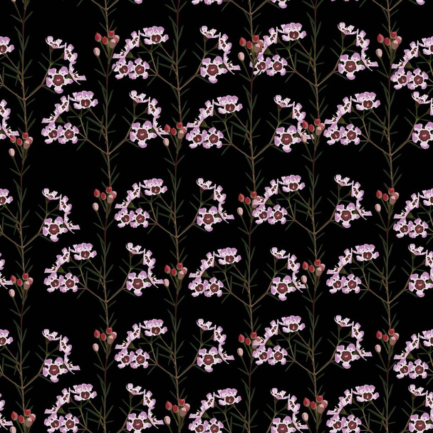 Flores tropicais coloridas planta ilustração perfeita. Padrão de ervas simples com flores rosa. Tecido sem costura fundo preto. - Vetor, Imagem