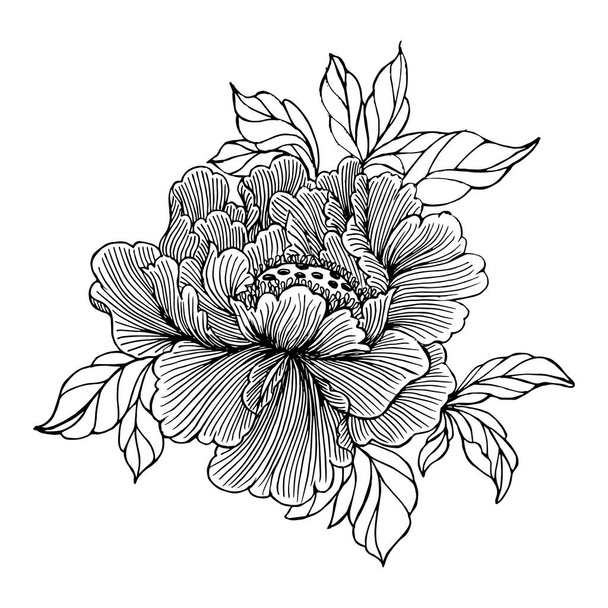 Illustratie, met de hand getekend contour pioenroos bloem. Lijnkunst. Textiel, hoes, behang. - Vector, afbeelding
