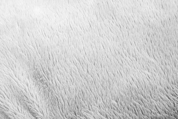 White fluffy fur fabric wool texture background - Photo, Image