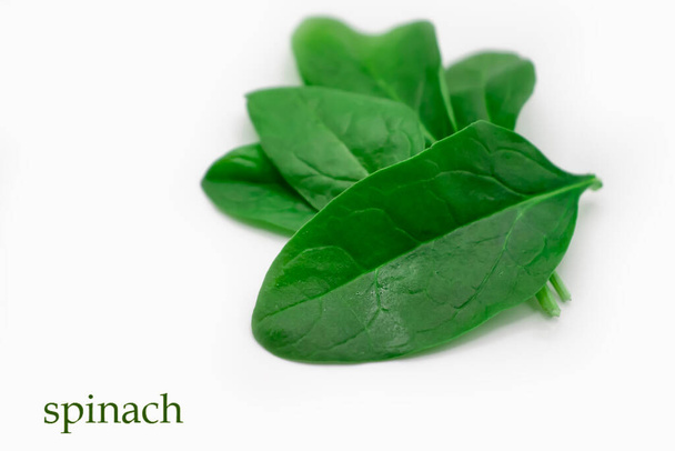 spinach leaf isolated on white background - Fotó, kép