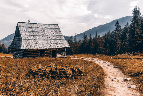 Una cabaña de madera tradicional en un claro de montaña, montañas Tatra, Polonia - Foto, imagen
