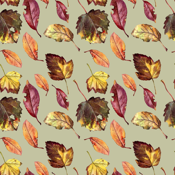 Autumn leaves in watercolor, seamless pattern for printing on fabric or paper. - Fotoğraf, Görsel