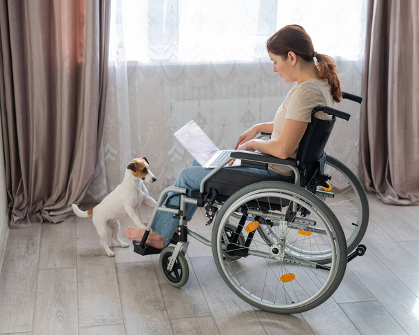 A woman in a wheelchair uses a laptop. - Fotó, kép