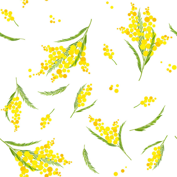 Seamless pattern with yellow mimosa branches on white background. Spring floral design for women's day, fabric prints, covers, cards. - Vector, Image