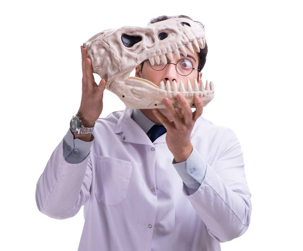 Funny crazy professor paleontologyst studying animal skeletons i - Photo, Image