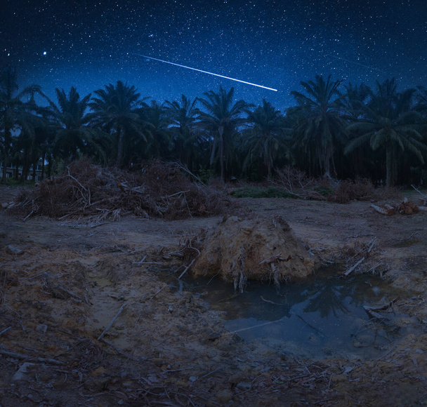 нічна сцена на вільній землі
 - Фото, зображення