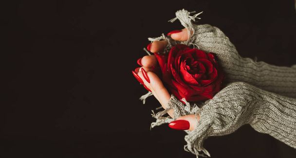 Nainen villapaidassa punaisella ruusulla mustalla taustalla. Ylhäältä punainen ruusu kädessä mustalla pohjalla. - Valokuva, kuva