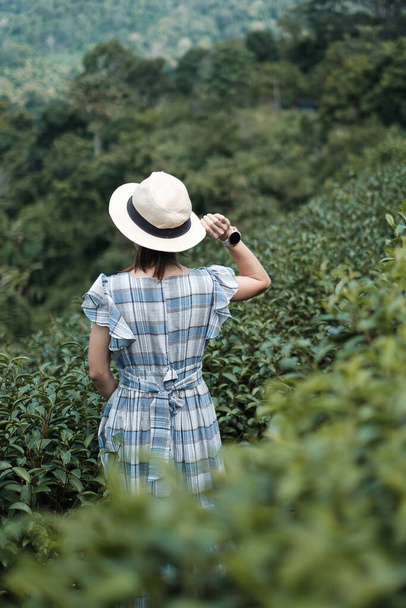 Onnellinen nainen turisti sininen mekko ja hattu nauttia kauniista Tea Garden.Traveler vierailevat vihreillä luonnon kukkuloilla aamulla. matka, loma, matka ja matka käsite - Valokuva, kuva