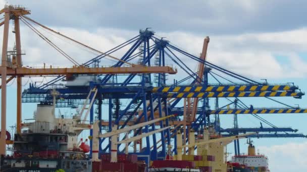 Zaman aşımı. İhracat ticaret lojistiği ithalatında Crane konteynırları taşıyan uluslararası liman. - Video, Çekim