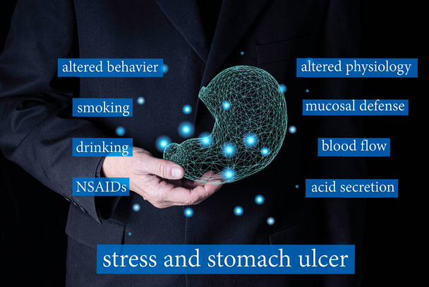 A businessman holding a wire frame model of a stomach with text describing causes of stress and stomach ulcer. - Photo, Image