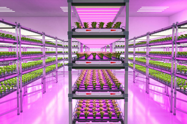 La tecnología agrícola con el sistema de granja interior de renderizado 3d elevó las plantas en los estantes con luz led - Foto, imagen