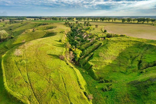 Sjezdovky zarostlé zelenou trávou, přírodní rezervace Ukrajinský Island, v blízkosti Vasylkiv, Ukrajina. Letecký pohled - Fotografie, Obrázek