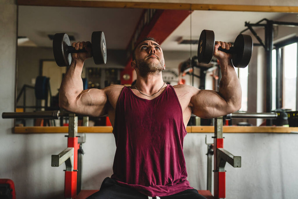 Front view of one adult man male bodybuilder doing shoulder press exercise with dumbbells gym training front view copy space - 写真・画像