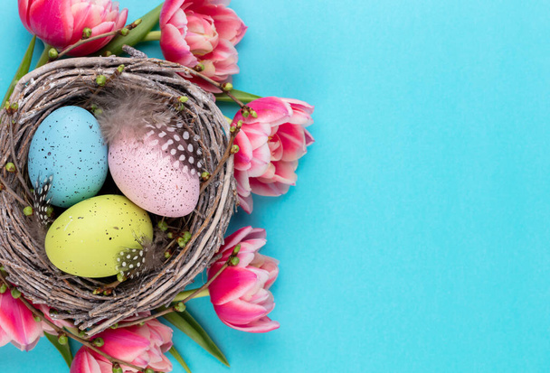 Spring greeting card. Easter eggs in the nest. Spring flowers tulips. - 写真・画像
