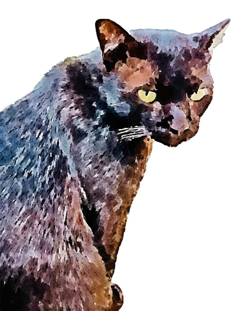 Acuarela pintura lindo gato dibujado a mano mascota, ilustración pintura gatito, dibujo de pincel abstracto sobre papel mojado. plantilla de banner aislado en blanco vector de fondo Ilustración - Vector, Imagen