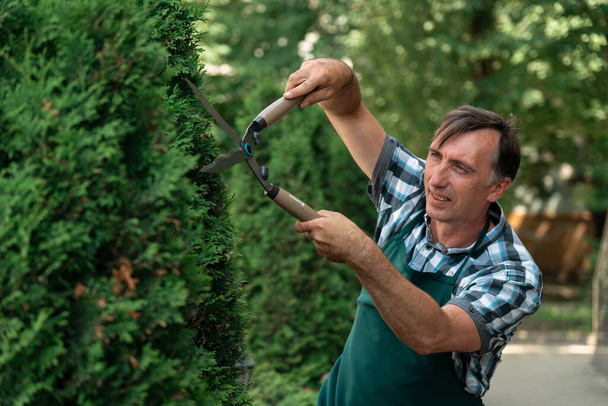 Человек обрезает дерево с помощью клипперов. Мужчина-фермер режет ветви в весеннем саду секаторами или секаторами
 - Фото, изображение