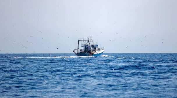 Fishing boat sails in Aegean wavy sea. Seagull swarm follows a trawler looking for food, blue sky background. Cyclades Greece. - Foto, afbeelding