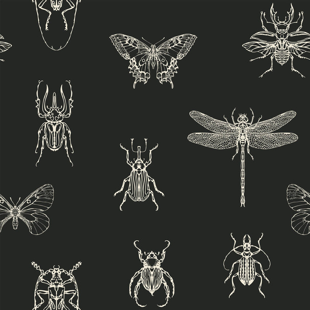 Hand-drawn seamless pattern with butterflies, beetles, dragonfly. Wallpaper, wrapping paper, fabric in form of chalk drawings on a black backdrop. Vector background with various insects in retro style - Вектор,изображение