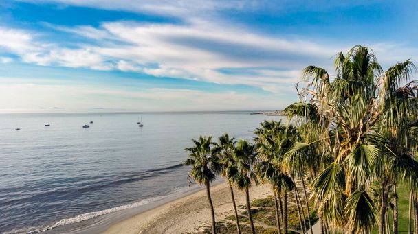 Kilátás a Csendes-óceánra és Kalifornia partjára. A pálmafák a partra, a hajókra és a kék égre néznek - Fotó, kép