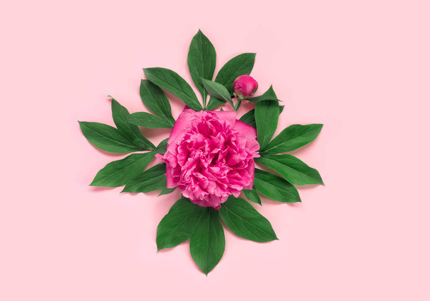 Bouquet of beautiful pink peonies on delicate paper background. Minimal concept backdrop.  - Foto, immagini