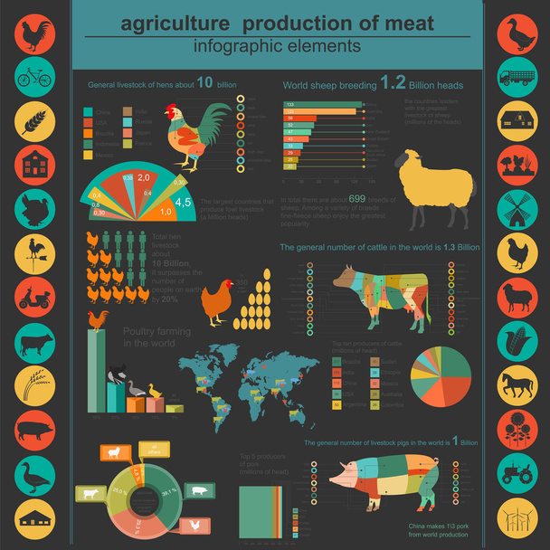 Agriculture, animal husbandry infographics, Vector illustrations - Вектор,изображение