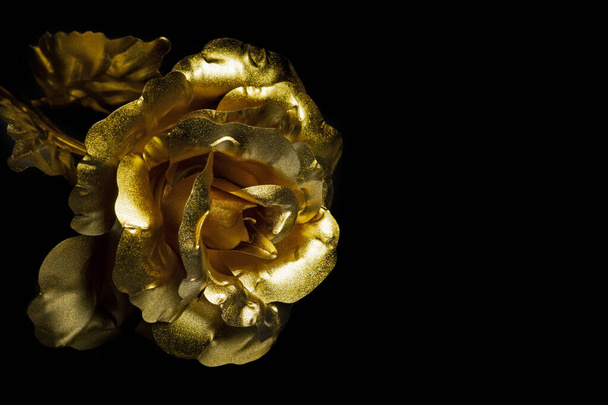 rosa dorada sobre fondo negro
 - Foto, Imagen