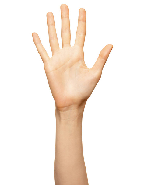 Main de la femme montre le signe numéro cinq doigt isolé sur blanc. Belle main de femme avec des ongles vides pour polir - Photo, image