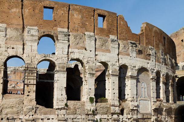 Coliseo, Roma
 - Foto, imagen