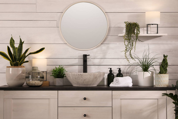 Stylish bathroom interior with vessel sink and beautiful plants - Photo, image