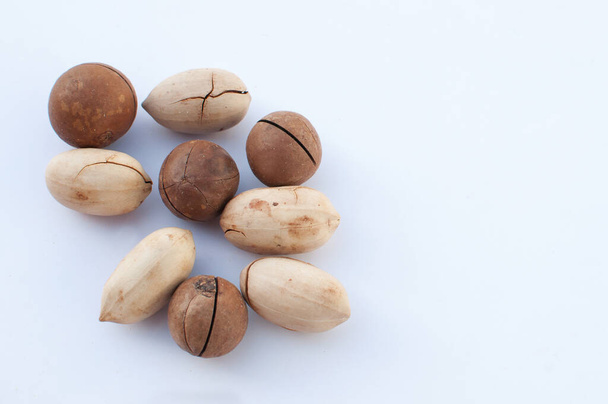 brazil nut and macadamia on a white background with space for text - Fotografie, Obrázek