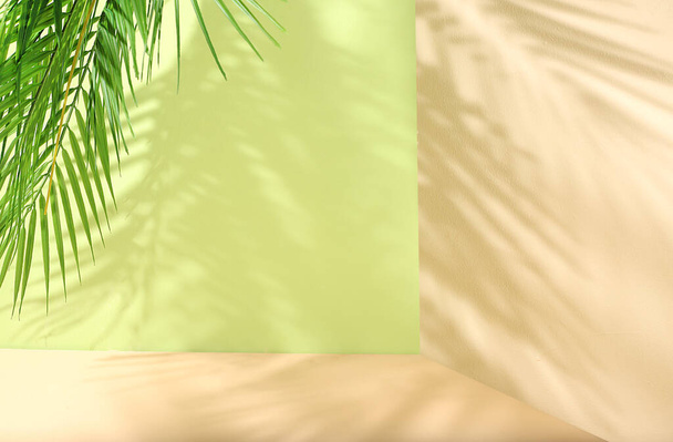 Empty showcase for display or presentation of cosmetic products, stage for design, abstract background with palm leaves and long shadows, modern creative display, - Foto, Imagen