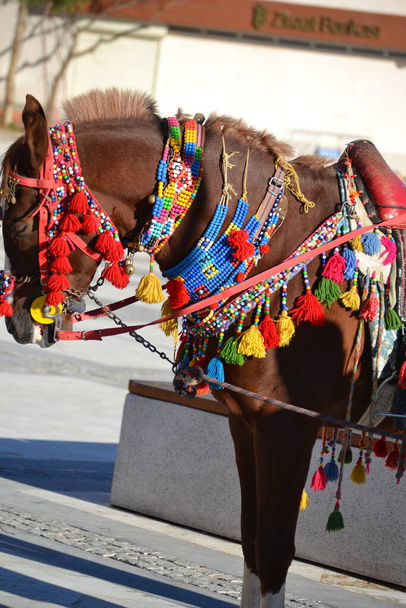 Paardenharnas van kunst Mardin zeer chique - Foto, afbeelding