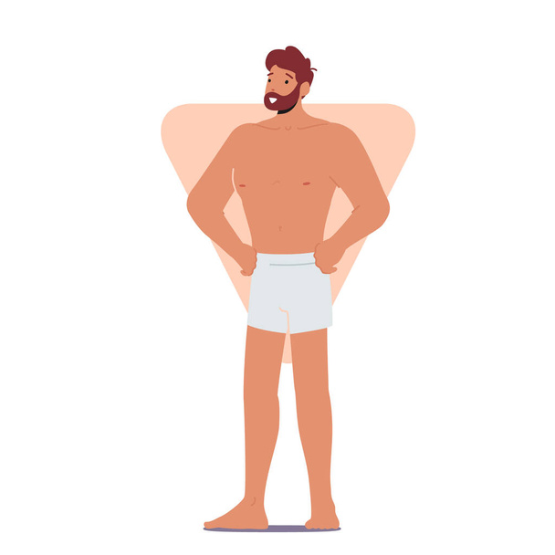 Homme avec triangle inversé Forme du corps Poser avec les bras Akimbo, Modèle de mode Personnage masculin Type de figure isolé - Vecteur, image