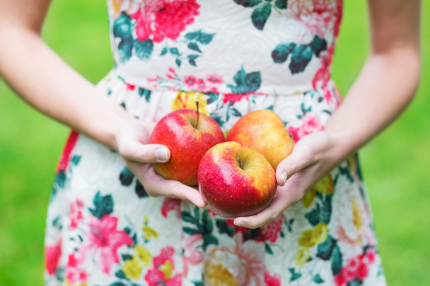 Closeup of female hands holding red apples - 写真・画像
