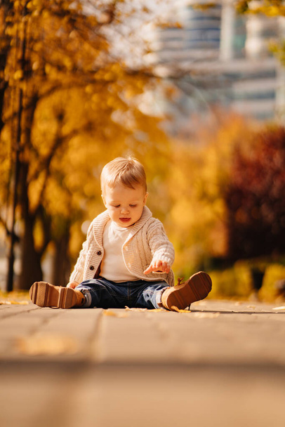 a cute little blonde boy in a beige jacket on the path with autumn leaves.  - Fotografie, Obrázek