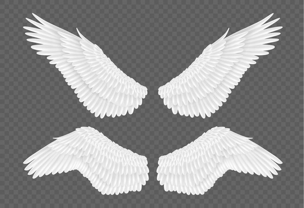 Paar realistische Flügel auf transparentem Hintergrund. Weiße Federflügel 3D für Engel, Vogeldesign - Vektor, Bild